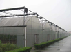 专业建造各种连栋温室连体温室食用菌大棚