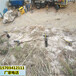 岩石地基开挖破石设备丽江市开采案例