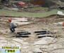 郴州市挖地基静态破石头机械一套多少钱
