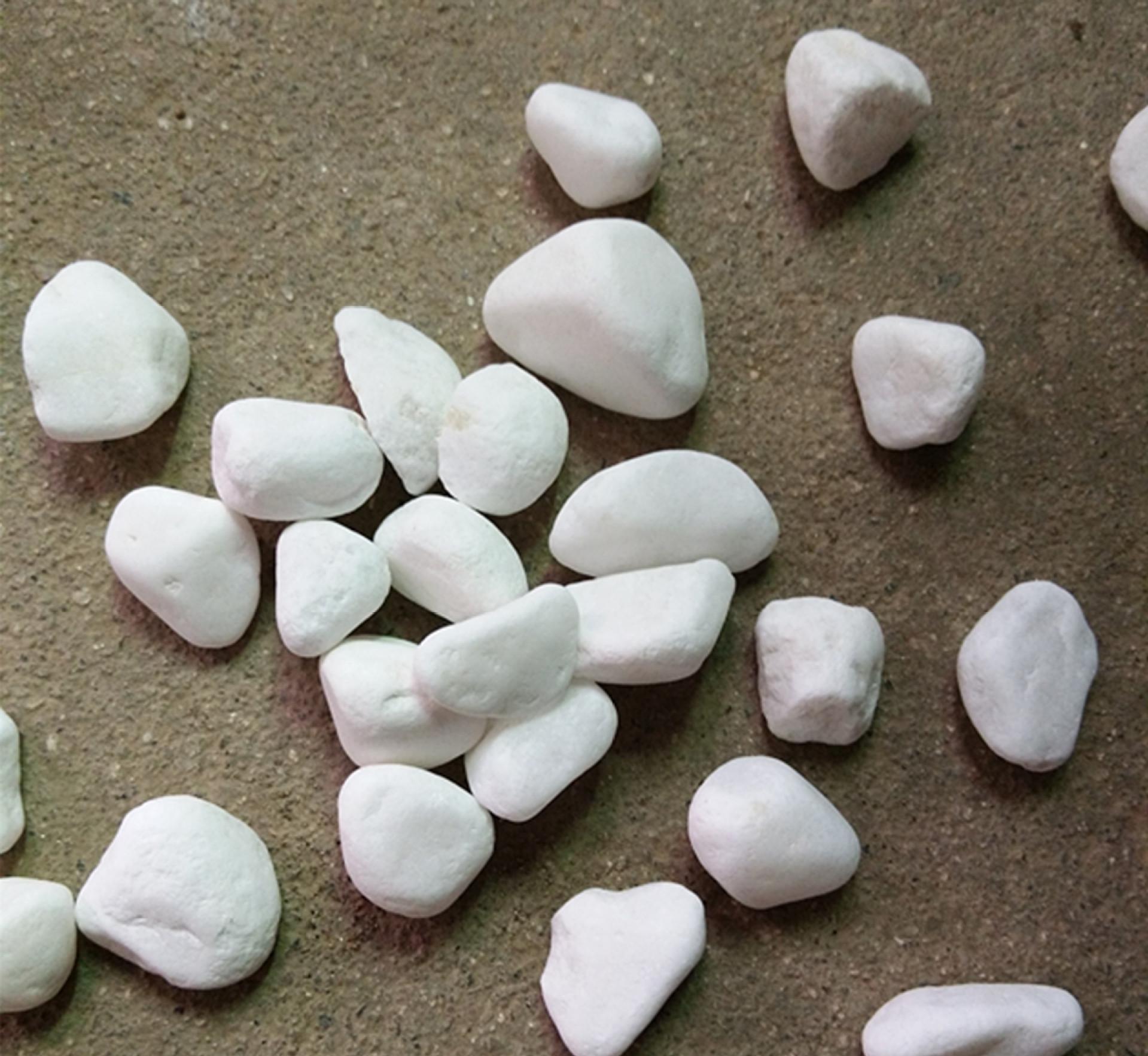 武安市抛光卵石多年生产  