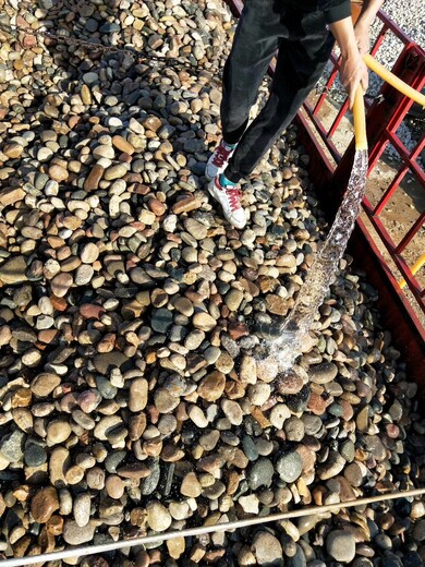 新乡区鹅卵石景观石河岸石水冲石溪坑石大卵石海浪石开采基地