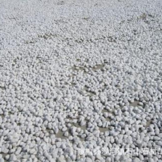 廊坊廣陽區白色鵝卵石產品質量穩定