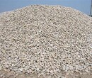 扬州仪征鹅卵石出厂价格/鹅卵石专业供应图片