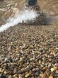 镇江丹阳天然鹅卵石滤料水处理垫层天然鹅卵石滤料