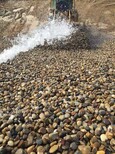 菏泽东明县鹅卵石天然鹅卵石滤料水处理垫层天然鹅卵石滤料图片0