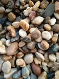 菏泽东明县鹅卵石天然鹅卵石滤料水处理垫层天然鹅卵石滤料图片5