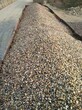徐州云龙鹅卵石滤料卵石滤料砾石滤料承托层8-16mm生产基地