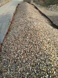 镇江丹阳鹅卵石鹅卵石(砾石)滤料鹅卵石滤料厂家图片1