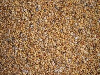 常州鹅卵石滤料洗米石用途图片1