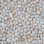泰州红色石米供应价格红色石米泰州有限公司欢迎你泰州红色石米有限公司欢迎你图片3
