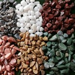 常州鹅卵石滤料洗米石用途图片3