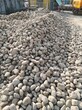 欢迎咨询：南通通州区天然鹅卵石多少钱一吨化工厂鹅卵石多少钱一吨