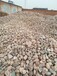 滁州鹅卵石滁州净水处理鹅卵石垫层产地批发