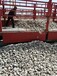 乌海海勃湾区鹅卵石乌海海勃湾区鹅卵石虑料粒径规格多少钱一吨