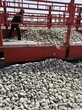 推荐：邯郸邯山区天然鹅卵石生产基地电厂鹅卵石生产基地