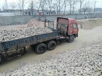 推薦：徐州泉山區天然鵝卵石價格水處理鵝卵石價格圖片4