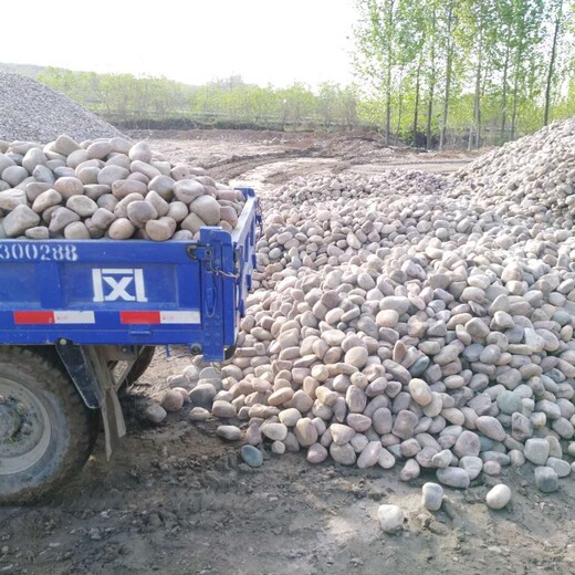 强烈推荐：沧州新华区天然鹅卵石供应价格人工水系铺设鹅卵石供应价格