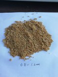 强烈推荐：锡林郭勒盟阿巴嘎旗天然海砂（海沙、河砂）滤料生产销售图片0