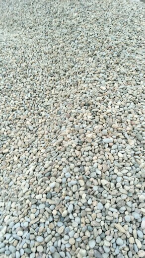 扬州高邮鹅卵石净水处理鹅卵石垫层变压器鹅卵石价格