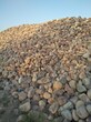泰安鹅卵石鹅卵石虑料承托层园林绿化鹅卵石产地批发