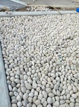 莆田鹅卵石5-8cm净水处理鹅卵石垫层出厂价格