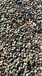 宜春鹅卵石滤料园林绿化鹅卵石多少钱一吨
