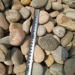 巴彦淖尔鹅卵石5-8cm电厂鹅卵石价格图片2