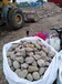 泉州专用鹅卵石滤料园林绿化鹅卵石开采基地