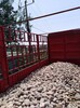 通辽霍林郭勒鹅卵石园林绿化鹅卵石污水处理鹅卵石滤料质量标准