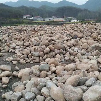 河源大同河卵石河道鹅卵石河滩石厂家招商