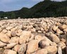 盐城益阳河道鹅卵石水冲石草坪石有限公司欢迎你