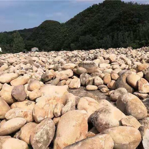 上海晋中河道鹅卵石河道鹅卵石河卵石联系电话