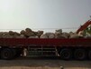 忻州随州河岸石河滩石人工湖铺设鹅卵石出厂价格