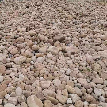 亳州江门草坪石人工湖铺设鹅卵石河岸石质量标准