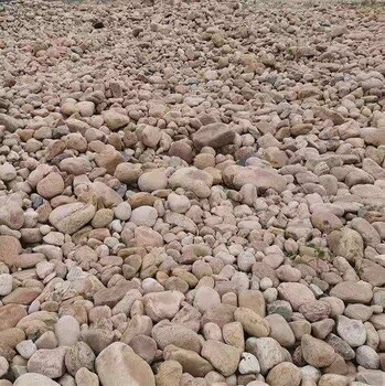 河北三明河道鹅卵石河道鹅卵石草坪石联系电话