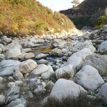 山西湖州河岸石水冲石河岸石开采基地图片3