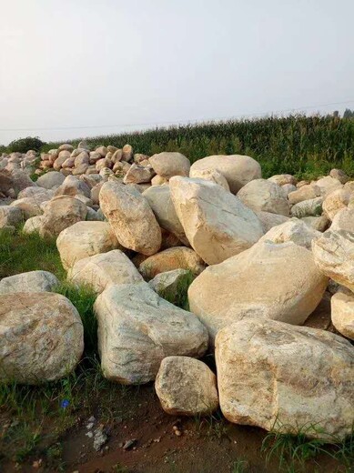 九江阜阳草坪石河岸石河岸石供应商