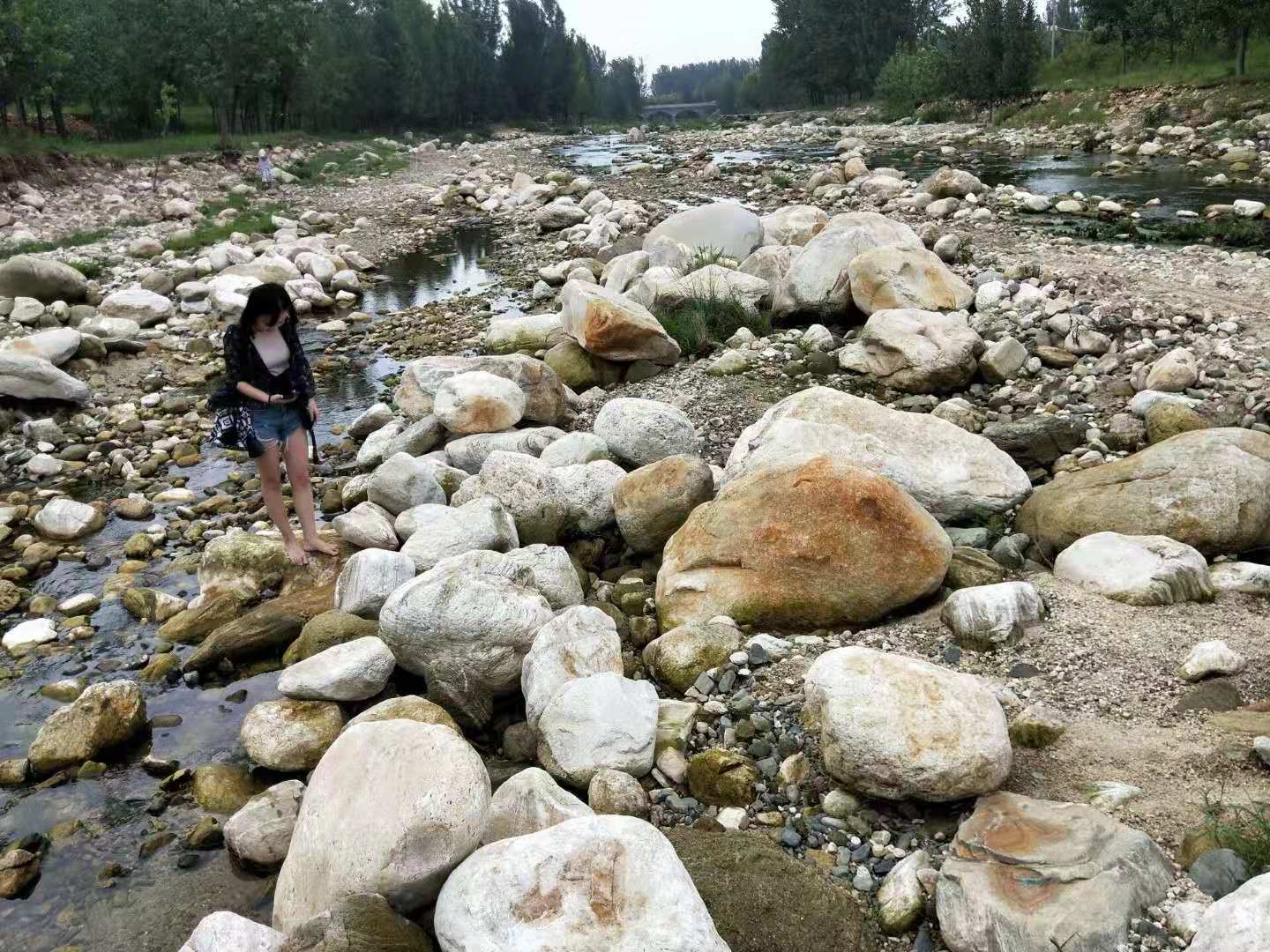 武汉南阳人工湖铺设鹅卵石水冲石河岸石价格
