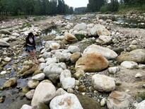 江西淄博河岸石人工湖铺设鹅卵石河滩石公司地址图片0