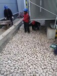滁州天然鹅卵石净水处理鹅卵石垫层供应商图片3