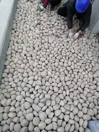 蒙城县天然鹅卵石净水处理鹅卵石垫层供应商