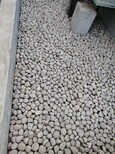 巢湖鹅卵石鹅卵石虑料粒径规格有限公司欢迎你图片2