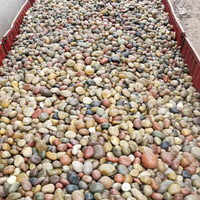蒙城县鹅卵石5-8cm园林绿化鹅卵石品种/销售