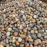 巢湖鹅卵石鹅卵石虑料粒径规格有限公司欢迎你图片5