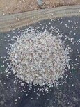 嘉兴污水处理鹅卵石沸石.石英砂.陶粒供应图片4