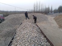 大庆鹅卵石厂家园林绿化鹅卵石质量标准图片4