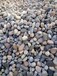 南充鹅卵石厂家水处理鹅卵石供应价格