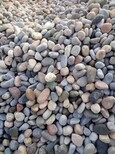 泸州鹅卵石滤料鹅卵石虑料粒径规格用途图片4