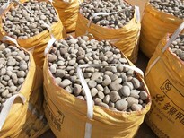 广州天然鹅卵石天然鹅卵石品种/销售图片0