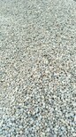 潮州天然鹅卵石鹅卵石虑料粒径规格供应价格图片0